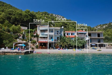 Property building, Natural landscape, Beach