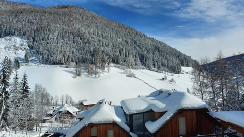 Finkennest Apartment in Carinthia, Austria