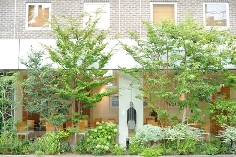 Property building, Day