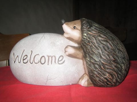 Hotel Elite B&B Inn in Rossinière