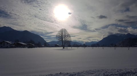 Off site, Day, Natural landscape, Winter