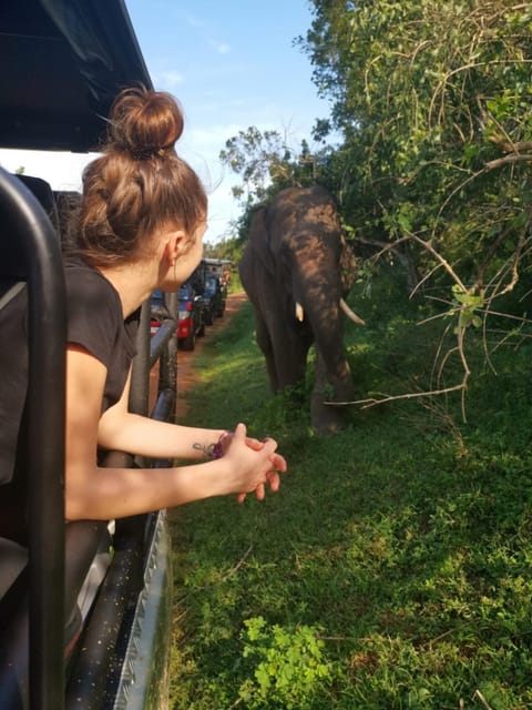People, Animals