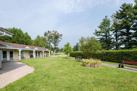 Property building, Spring, Garden, Garden view