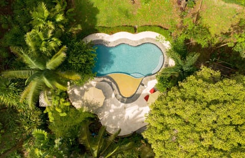 Natural landscape, Bird's eye view, Garden view, Pool view, Sea view, Swimming pool, Swimming pool, sunbed