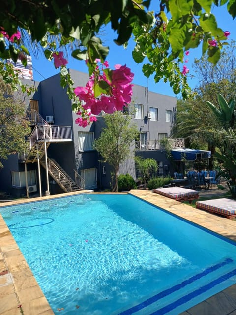 Property building, Spring, Day, Garden, Garden view, Pool view, Swimming pool