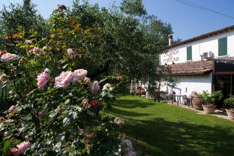 Property building, Garden view