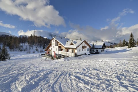 Property building, Winter
