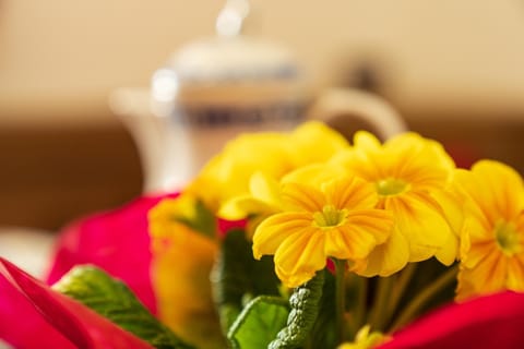 Trafisolerhof Country House in Trentino-South Tyrol