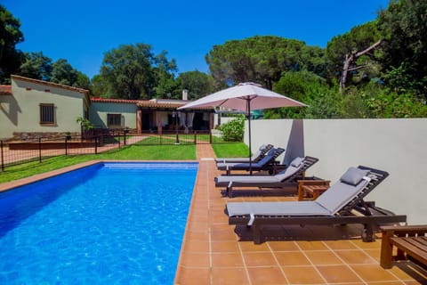 Garden, Garden view, Pool view, Swimming pool, sunbed
