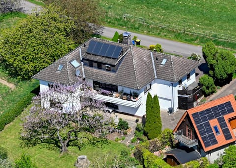 Property building, Spring, Bird's eye view, Garden