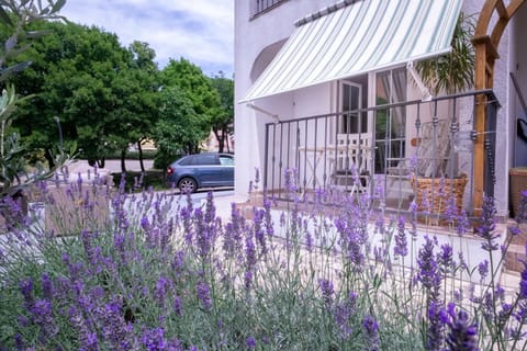 Garden, Garden view, Parking