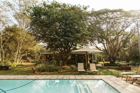 Garden, Swimming pool, Swimming pool