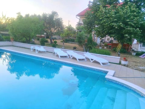 Day, Garden, Garden view, Pool view, Swimming pool, sunbed