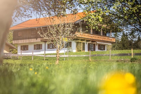 Property building, Spring, Day, Natural landscape, Garden, Garden view