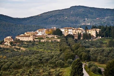 Property building, Natural landscape