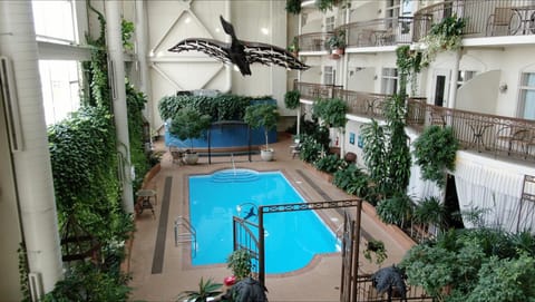 Pool view, Swimming pool, Swimming pool