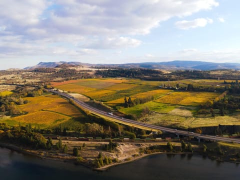 Bird's eye view, River view