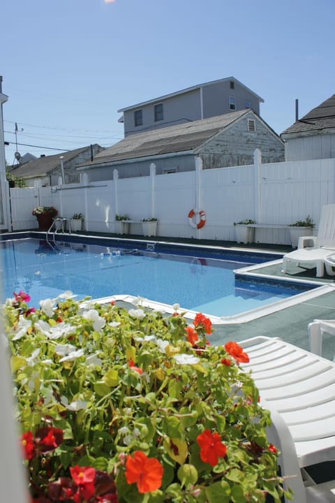 Garden, Swimming pool, Swimming pool