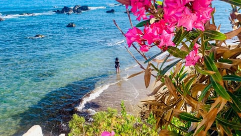 Property building, Beach, Sea view