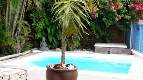 Swimming pool, Swimming pool
