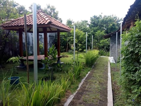 Natural landscape, Garden view