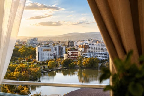 Day, Natural landscape, Bird's eye view, Balcony/Terrace, City view, Lake view