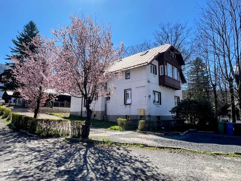 Property building, Spring, Day