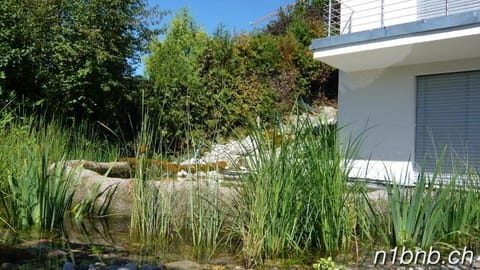 N1 Standalone House Baden Apartment in Aargau, Switzerland