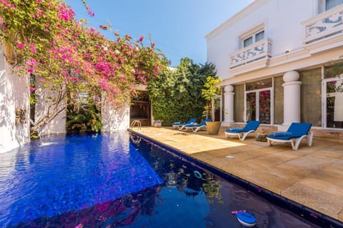 Garden, Pool view, Swimming pool
