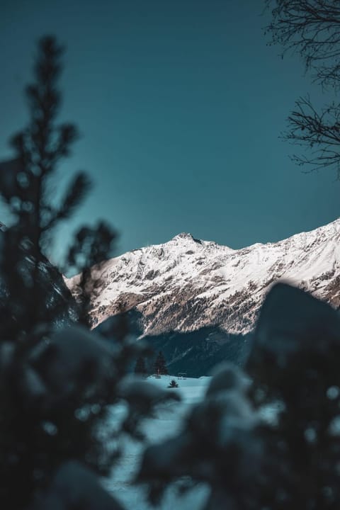 Pension Steinkogel Bed and Breakfast in Trentino-South Tyrol