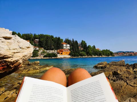 Property building, Beach