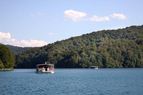 Guesthouse Blazenka Hodak Apartment in Plitvice Lakes Park