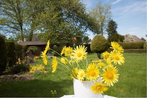 Altes Forsthaus Bed and Breakfast in Vulkaneifel