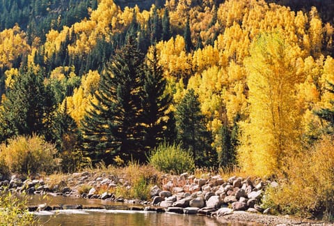 Property building, View (from property/room)