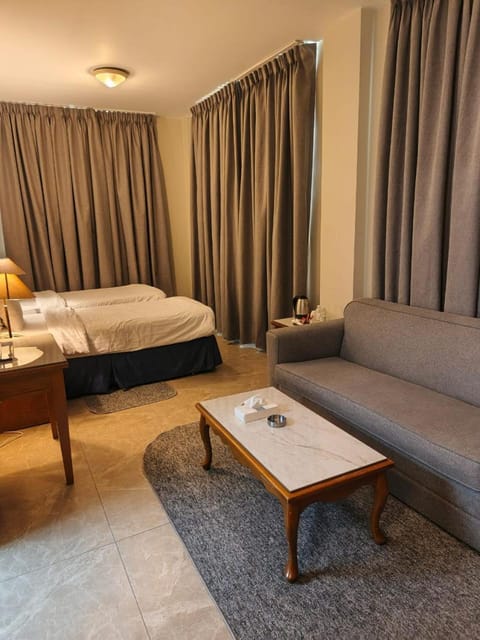 Bed, Living room, Photo of the whole room, Seating area, Bedroom