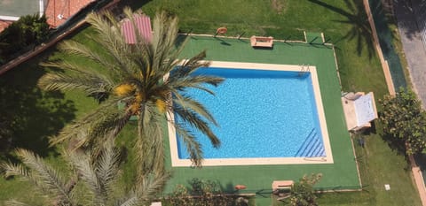 Garden, Swimming pool