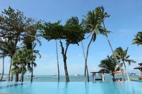 Pool view, Sea view