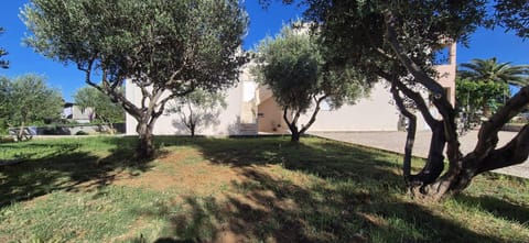 Apartman Petar Apartment in Zadar County