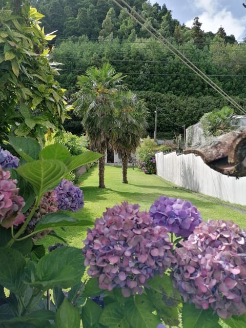 Garden, Garden