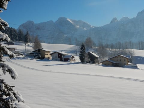 Neighbourhood, Natural landscape, Winter