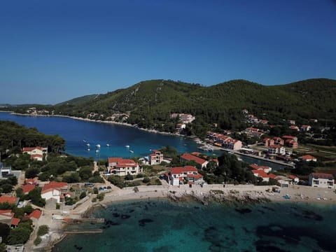 Seaside villa at Prizba House in Dubrovnik-Neretva County