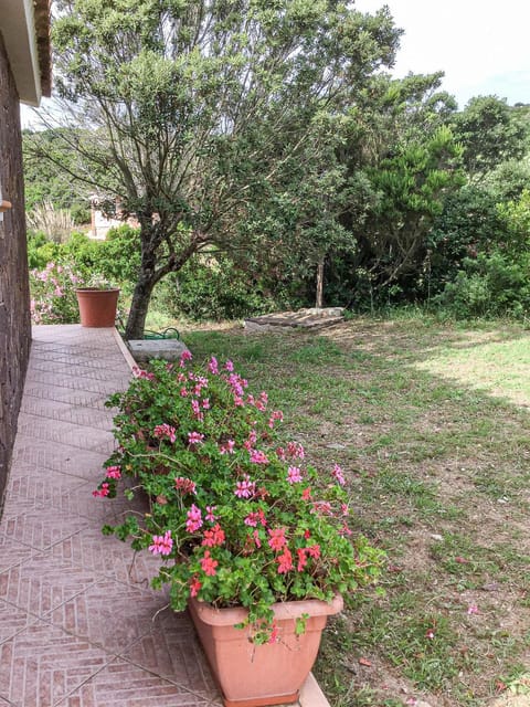 Natural landscape, Garden view