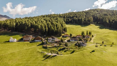 Property building, Natural landscape, Summer, On site, Location
