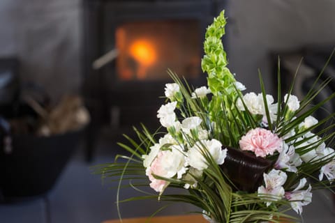 Dunguaire Thatched Cottages House in County Clare