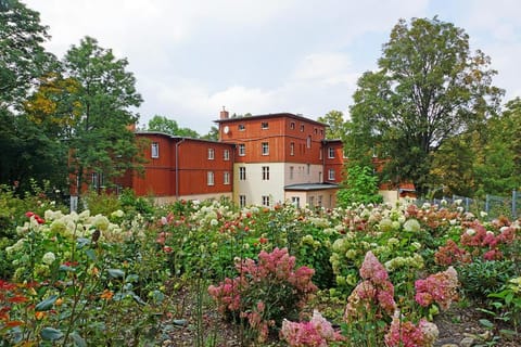 Property building, Spring