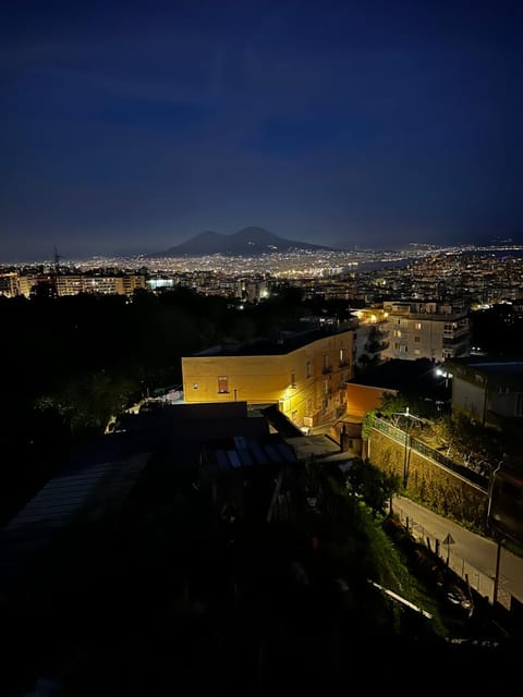 Sweet Panoramic Apartment Apartment in Naples