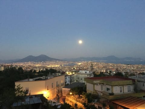 Natural landscape, City view