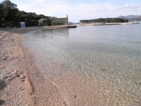 Beach, Area and facilities