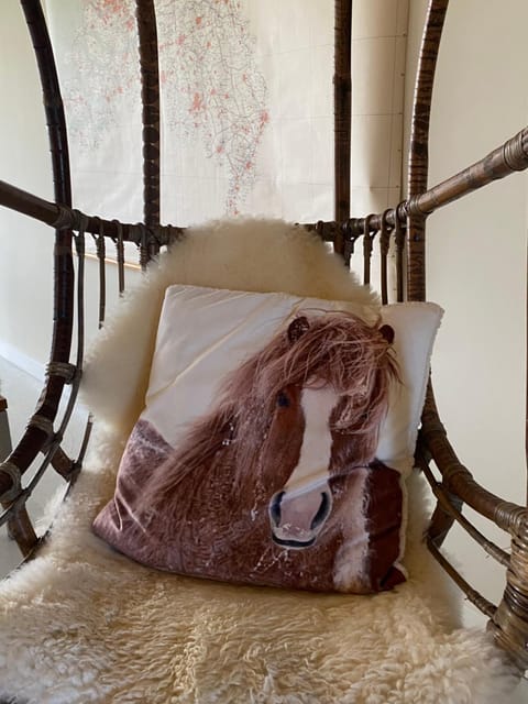 Slapen bij Uppruna Bed and Breakfast in North Brabant (province)