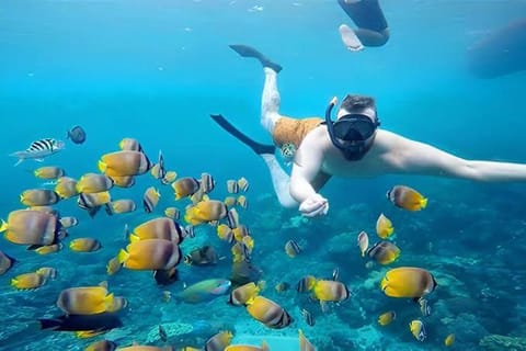 Pondok Lembongan Campground/
RV Resort in Nusapenida